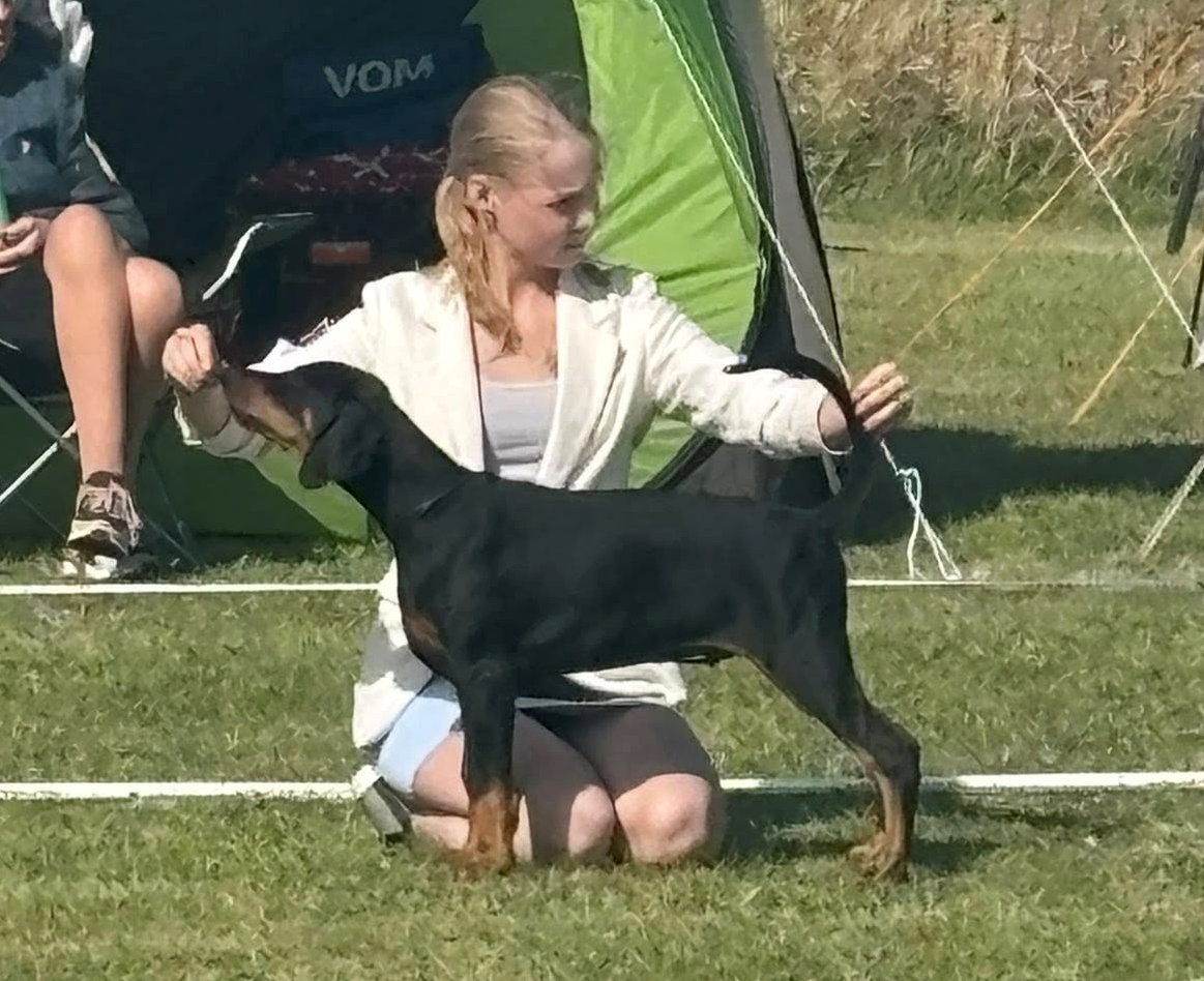 Zanno Uniqa Goin' Home